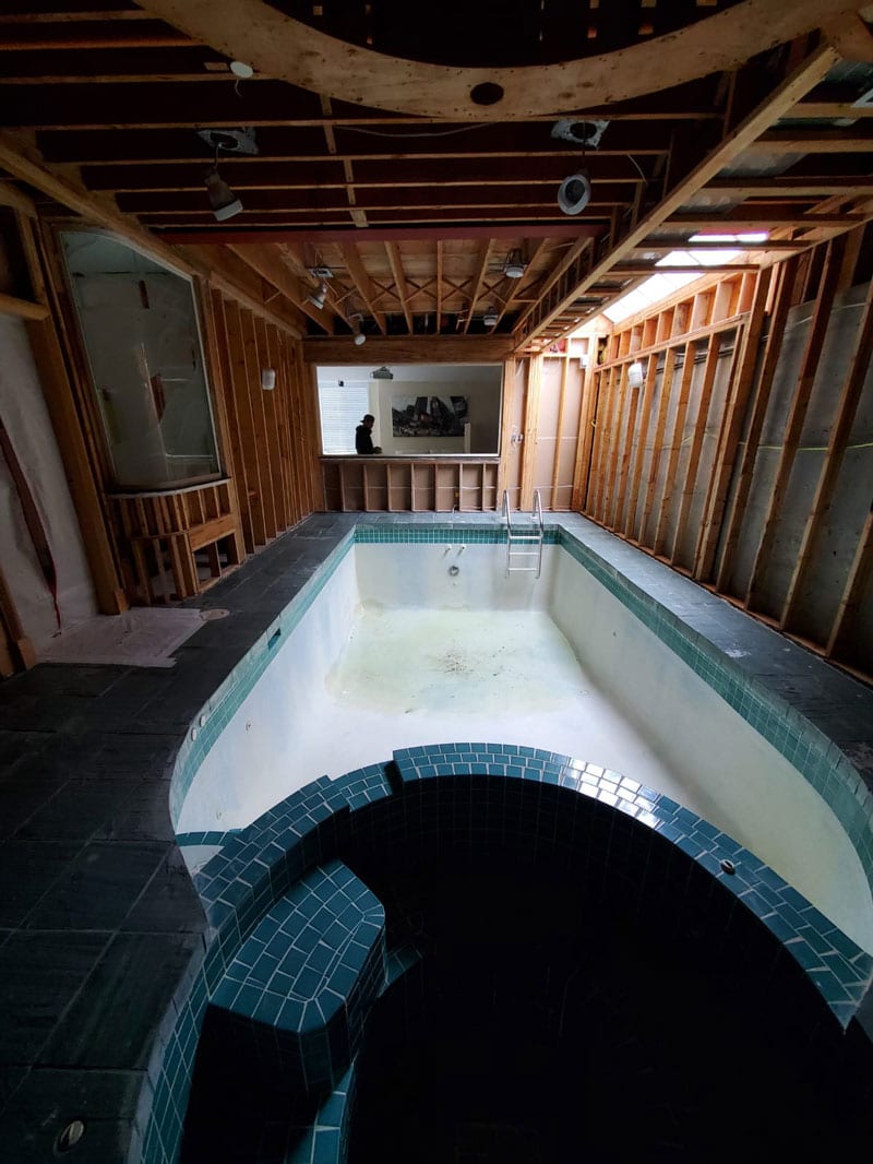 mold removal vancouver pool